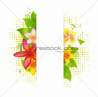 Natural Background With Flower