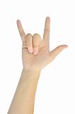 love hand sign of woman isolated on white background