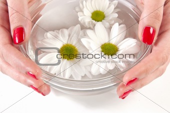 manicured woman's hands