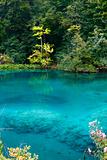 Turquoise lake 