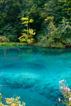 Turquoise lake 
