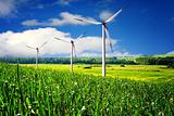 Wind turbines farm in summer