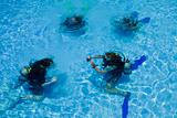 Divers in a swimming pool.