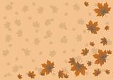 maple leaves flying in the autumn background