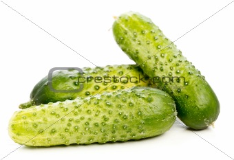 Isolated cucumbers