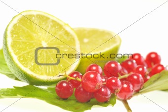 red currant  and lemon
