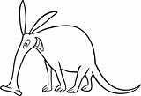 aardvark for coloring book