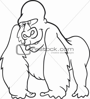 gorilla for coloring book