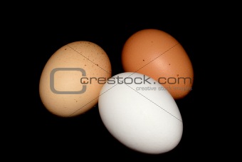 three eggs on black