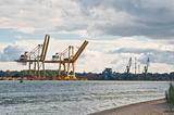 cranes in seaport