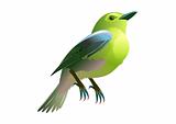 colorful vector bird