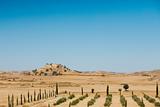 Typical cyprian panoramic view of desert landscape
