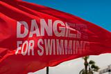 Waving flag "Danger for swimming"