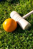 croquet stick and yellow ball