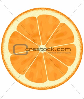 slice of fresh orange