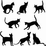 Cats silhouettes