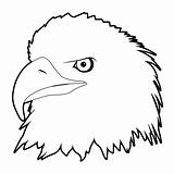 drawn eagle head
