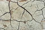 Dry cracked soil texture