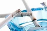 Closeup image of ashtray and cigarettes, isolated on white 