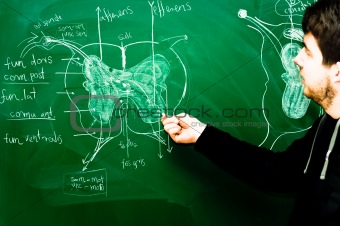 Young student showing spinal chord on green chalk board