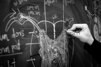 Young student showing spinal chord on green chalk board