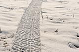 Tire track in the snow