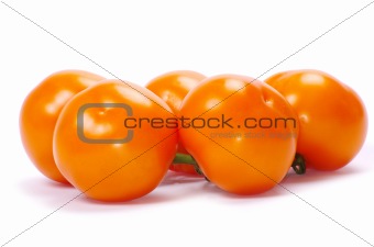  tomato 