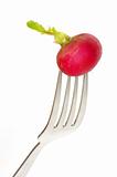radish on fork 