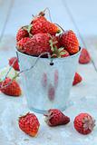 ripe organic strawberries in a tin pail