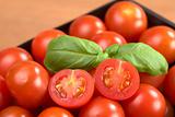 Cherry Tomatoes with Basil Leaf
