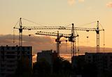 cranes on construction site house at sunset
