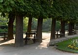 Benches In Park