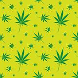 cannabis leaf pattern