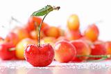 Sweet cherries with droplets isolated on white