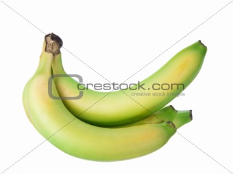 Banana bunch 