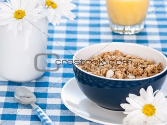Breakfast cereal  