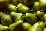 Bartlet Pears