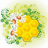 Honeycombs in flowers