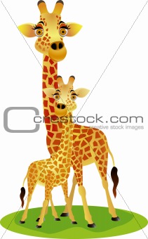 Mother and baby giraffe
