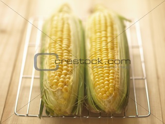 corn on kitchen table