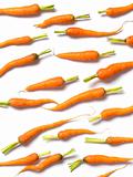 baby carrots on white