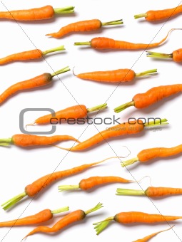 baby carrots on white