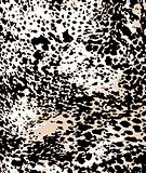 fashion leopard skin pattern