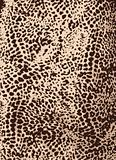 fashion leopard skin pattern