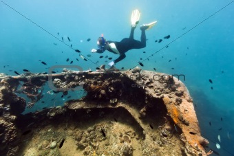 Shipwreck and diver