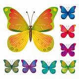 A collection of colorful butterflies