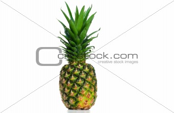 Pineapple upright