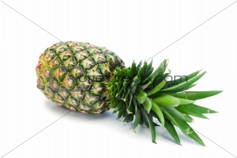 Pineapple spread