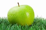 Green wet apple on grass