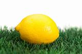 Yellow lemon on grass